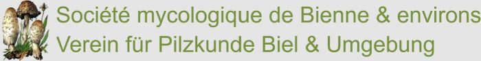Verein für Pilze Biel & Umgebung